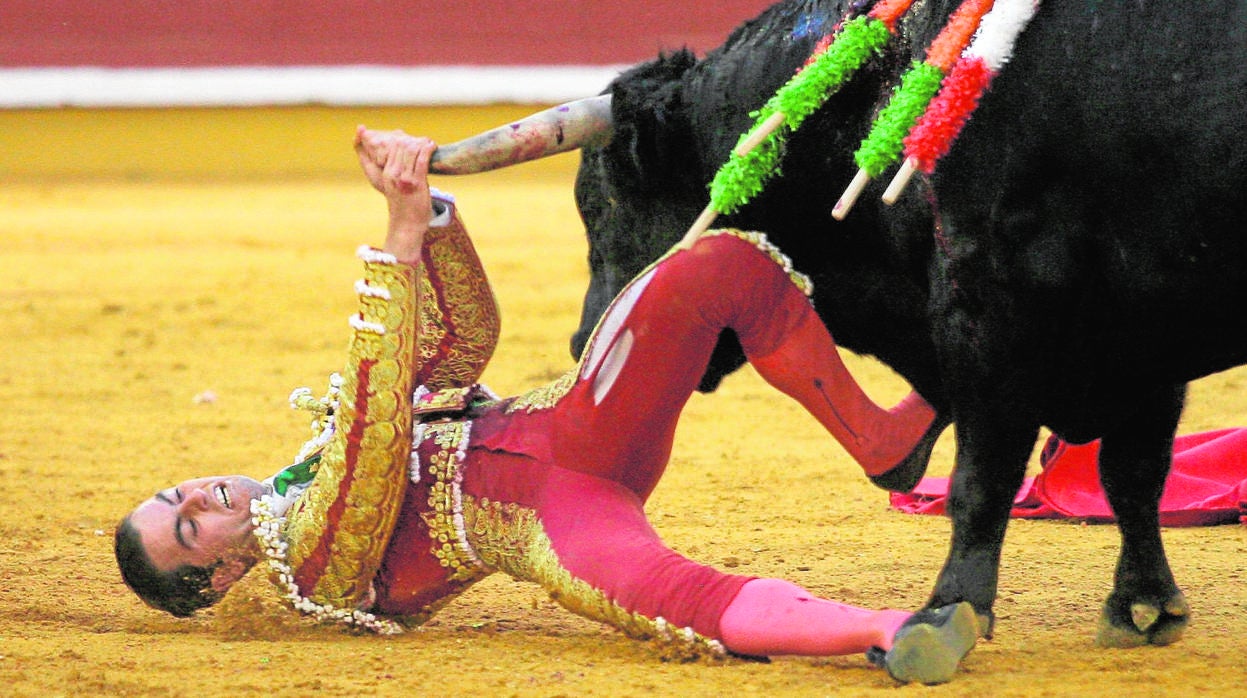 Torres intenta zafarse del asta de un toro en una corrida en Córdoba en 2007