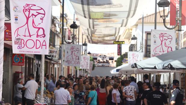 Los grandes municipios de Córdoba, salvo La Carlota y Fuente Palmera, pierden tejido empresarial