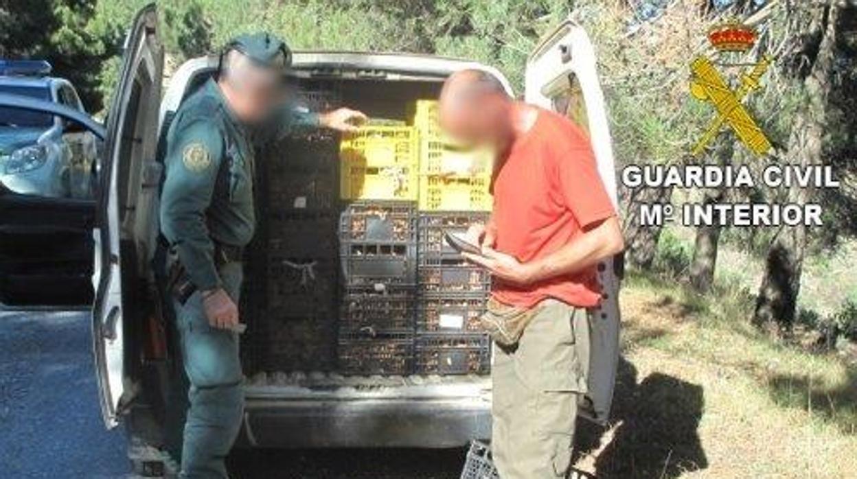 Imagen de la Guardia Civil interviniendo el cargamento de uno de los vehículos