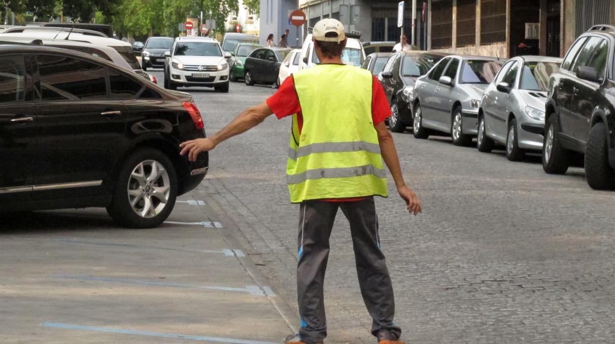 Un gorrilla busca hueco a un coche en la avenida de Vallellano de Córdoba