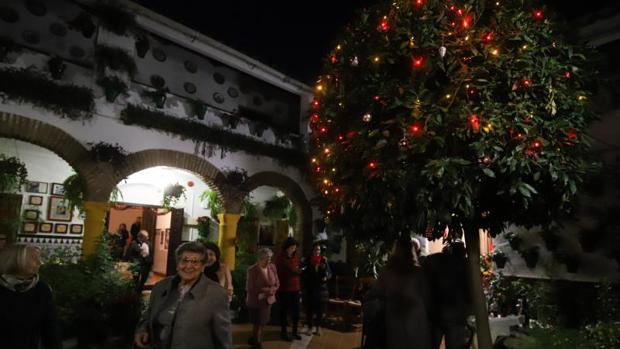 Unos 30 patios de Córdoba abrirán al público en Navidad