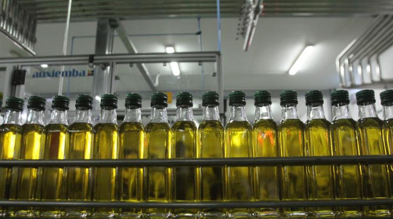 Envasadora de aceite de oliva en Córdoba