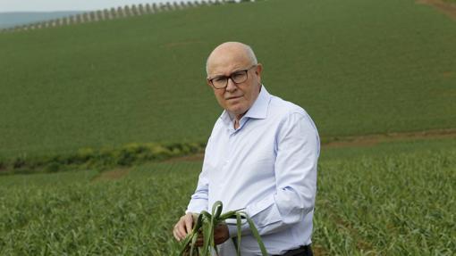 Manuel Vaquero, gerente de La Abuela Carmen, en una plantación de ajos