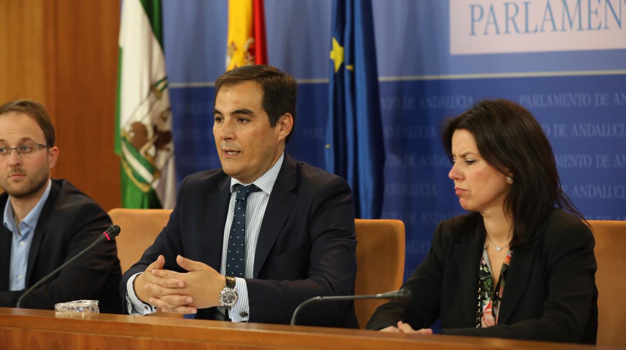 Erik Domínguez, José Antonio Nieto y Ana Vanessa García, miembros del PP en la comisión de la Faffe