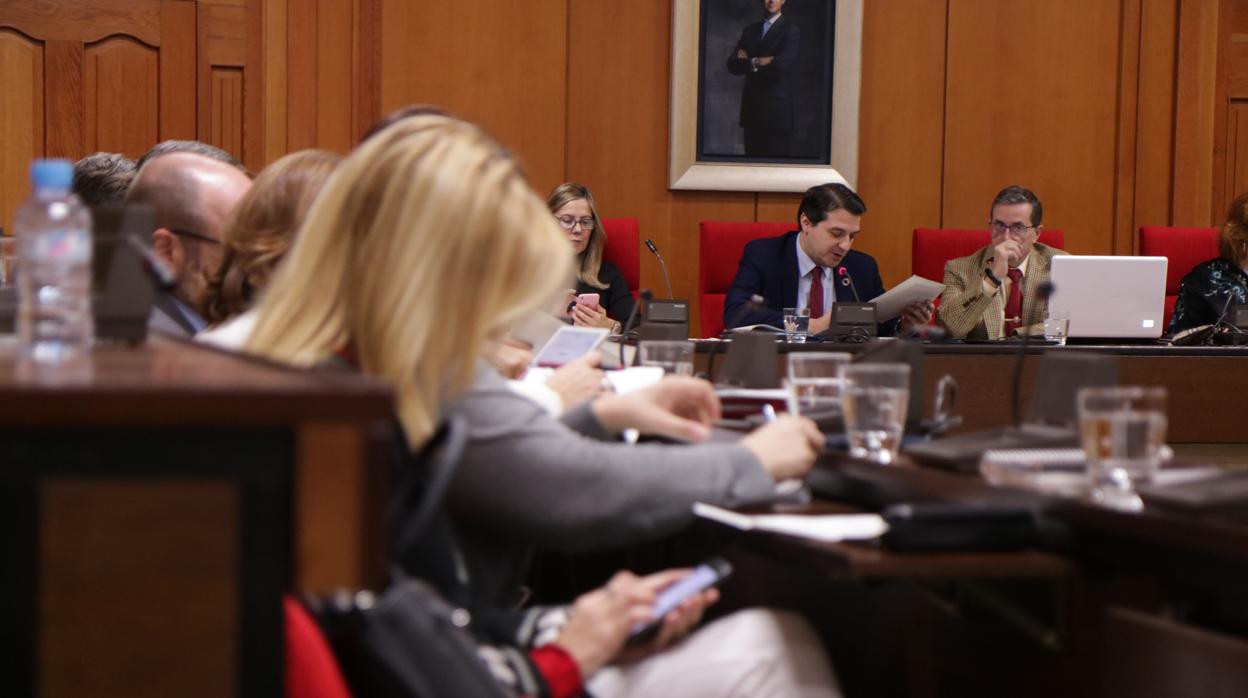 Pleno del Ayuntamiento