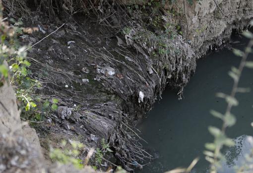 La suciedad y el lodo ponen en jaque a la ribera del Guadalquivir en Córdoba