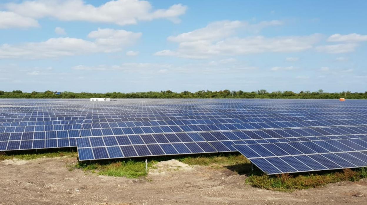 Vista de las placas solares de la planta de Gibraleón