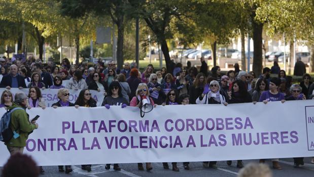 Más de cinco mil mujeres marchan en Córdoba contra la violencia machista