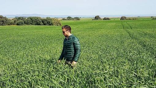 Rafael de la Bastida, en uno de sus cultivos en la provincia de Córdoba