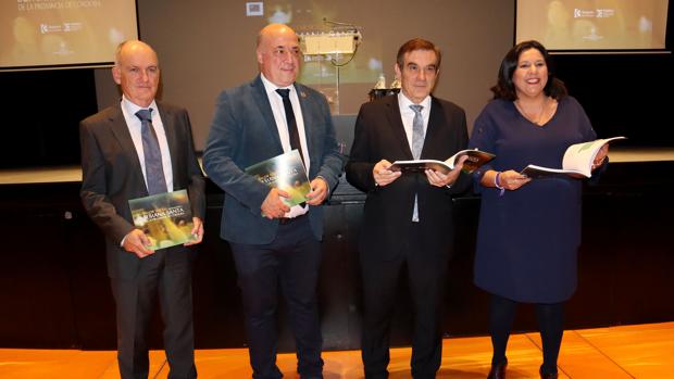 Un estudio cifra en 245 millones el beneficio anual de la Semana Santa en Córdoba