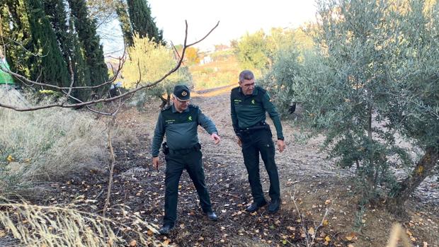 Hallan con vida la mujer desaparecida en Torredelcampo