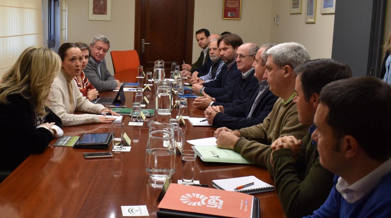 Reunión de la Junta de Andalucia con el sector del aceite de oliva