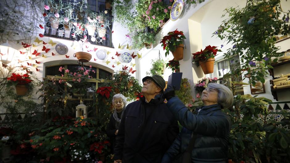 Las flores del frío y la Navidad ya se abren en los Patios de Córdoba