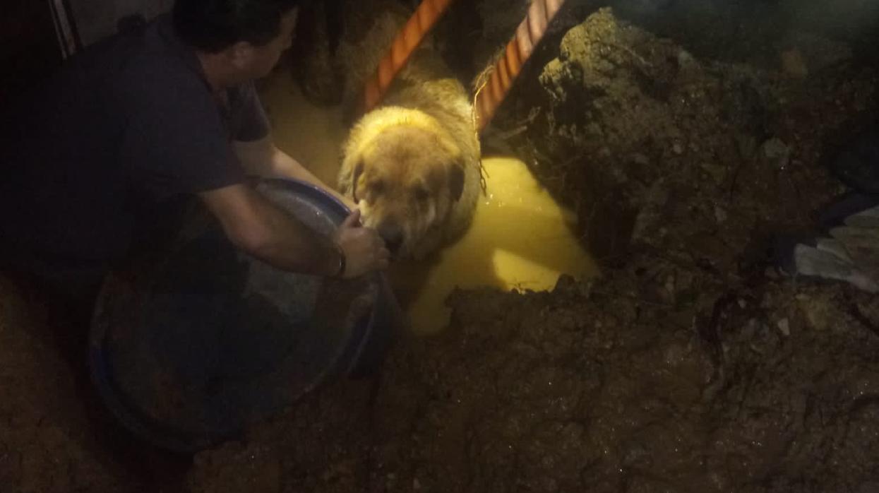 Los bomberos de Córdoba rescatan a un perro que se había quedado atrapado entre el barro