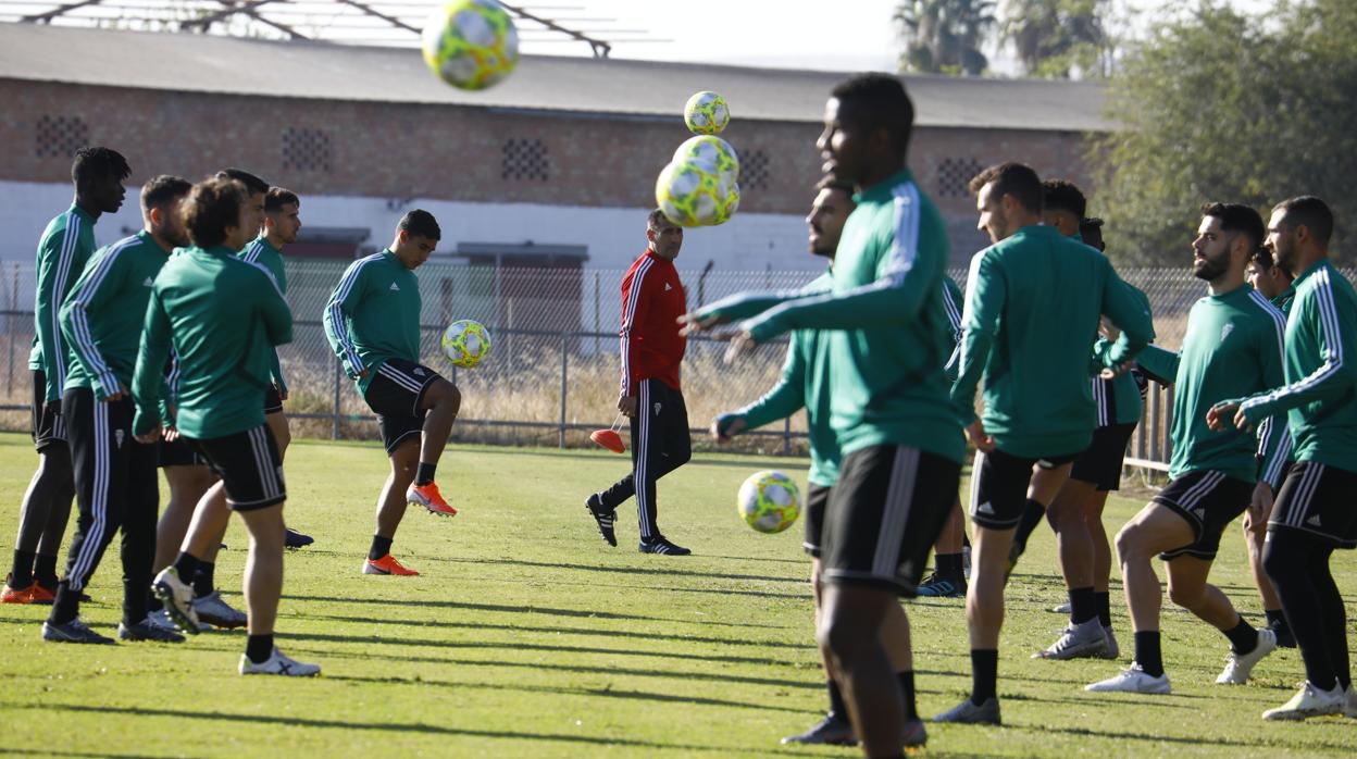 La plantilla del Córdoba CF pelotea en el entrenamiento de la Ciudad Deportiva