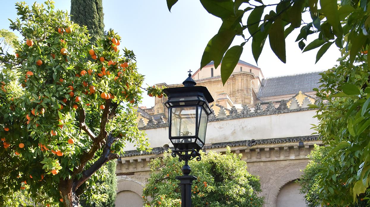 Una de las farolas nuevas del Patio de los Naranjos