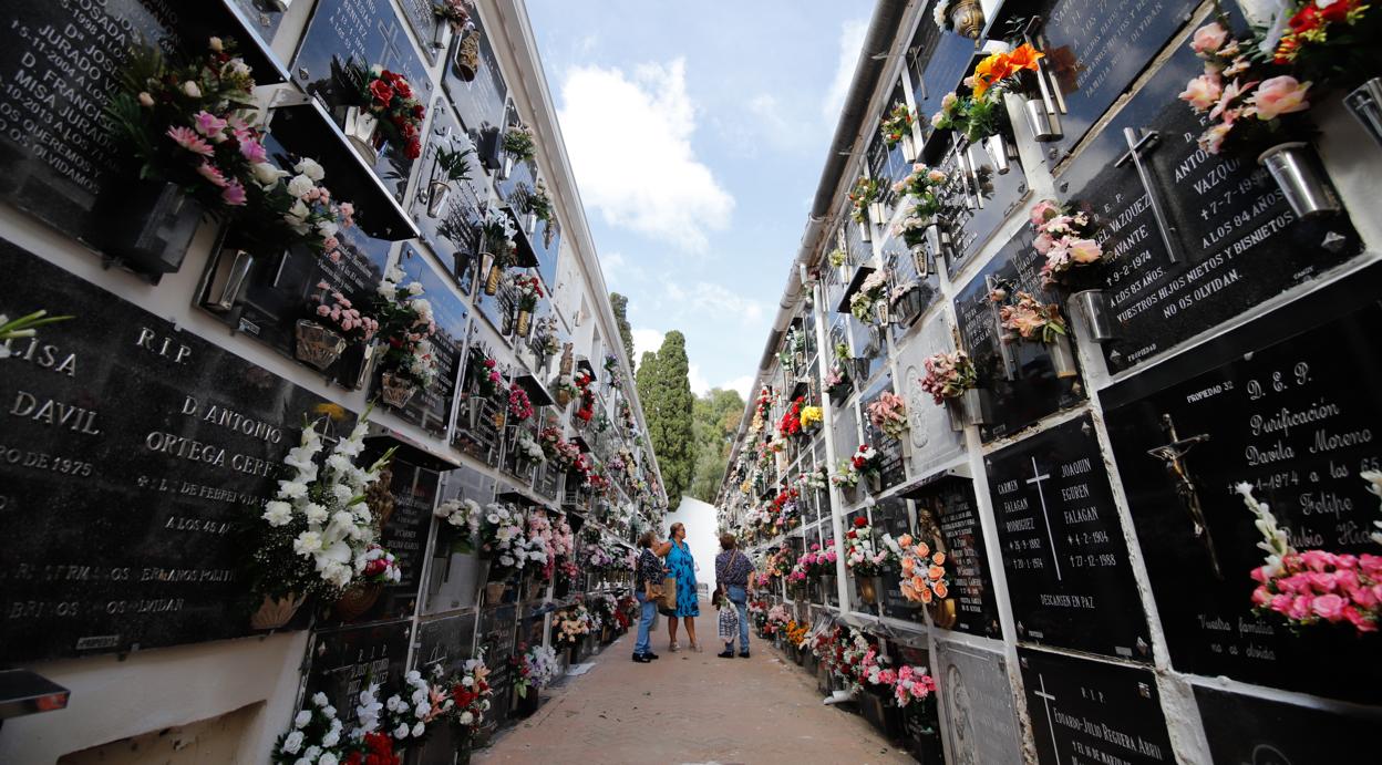 Cementerio de San Rafael