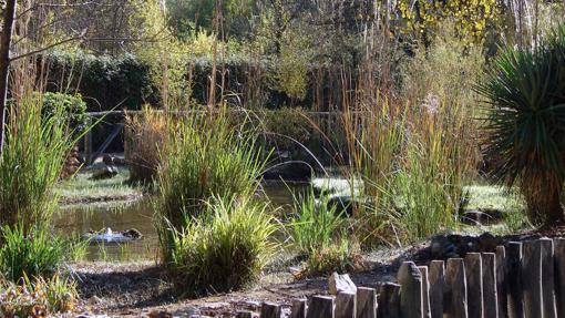 El Jardín Botánico Torre del Vinagre