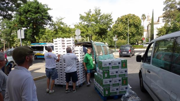 El Banco de Alimentos de Córdoba entregó 1,3 millones de kilos de frutas de excedentes agrícolas