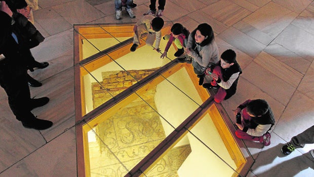 La piscina olímpica