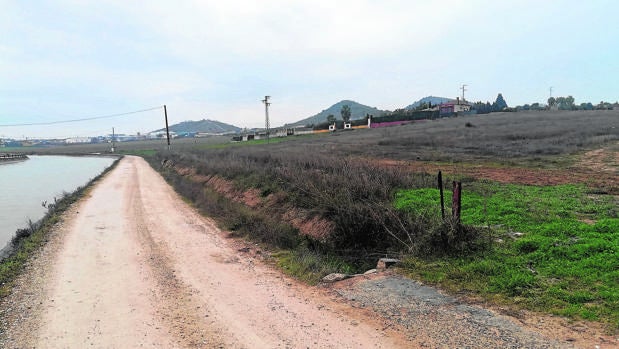 Arranca la tramitación para el parque de energía solar del Paraje Amarguilla en Puente Genil