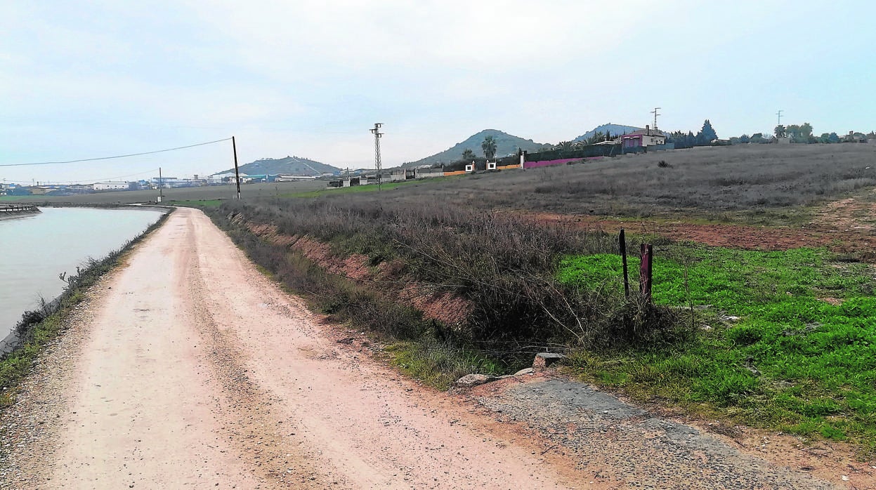 La parcela donde se instalará el parque solar