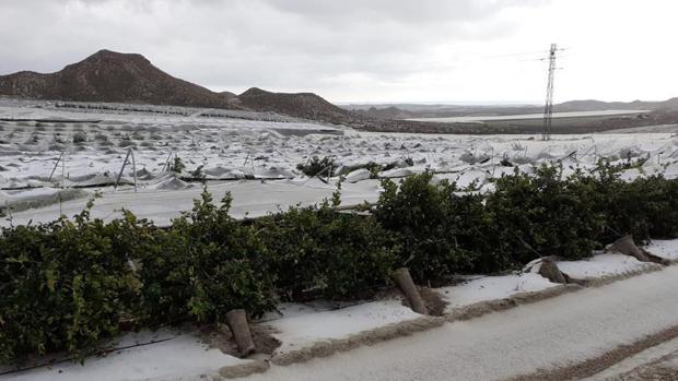 Muere un agricultor atrapado por la caída de un invernadero tras una intensa granizada en Níjar