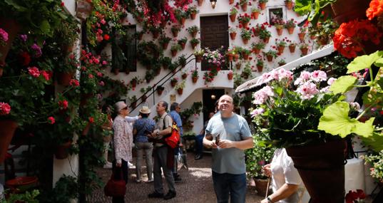 Patio de San Martín de Roa, 7