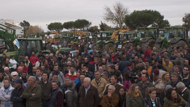 Agricultores en Doñana: «No somos delincuentes ambientales»