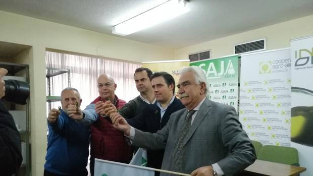 El sector olivarero de Jaén activa una movilización permanente para revertir el bajo precio del aceite