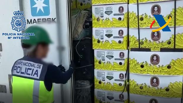 Encuentran 200 kilos de cocaína oculta entre plátanos en un contenedor del puerto de Algeciras