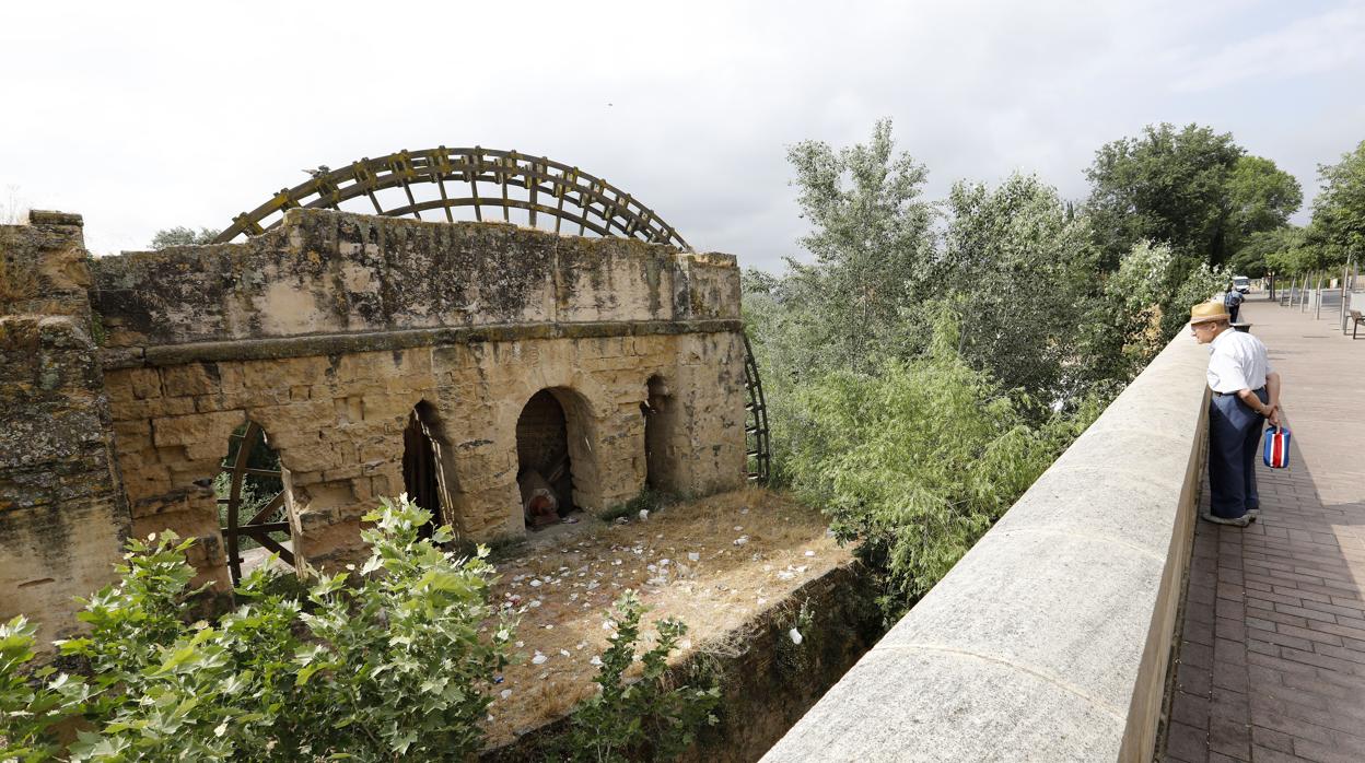 Noria de la Albolafia de Córdoba