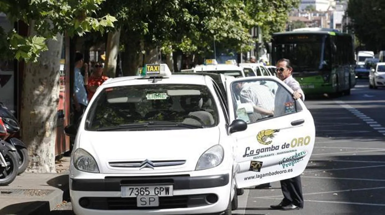 Taxis aparcados en una parada de la capital cordobesa