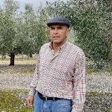 La crisis del campo, contada por agricultores y ganaderos de Córdoba