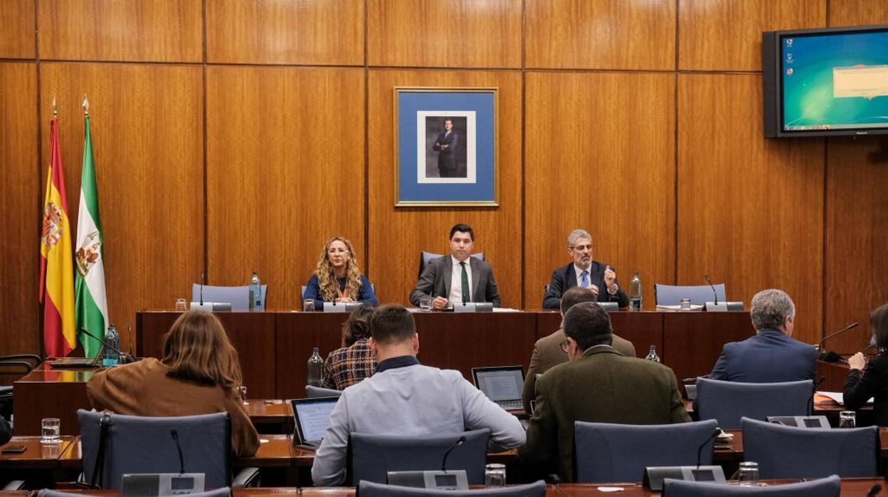 Raquel Naranjo (a la izquierda en la mesa) en su comparecencia en la comisión de la Faffe