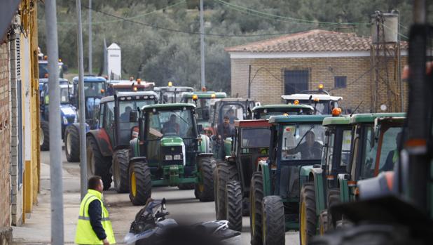 Lucena se convierte hoy en el epicentro de la lucha de los agricultores y ganaderos de Córdoba