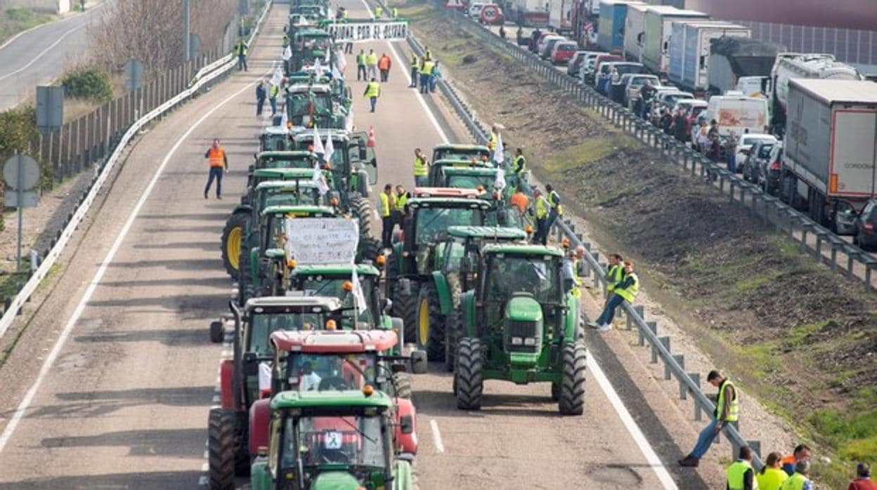 Columna de tractores en Jaén, hace unos días, en protesta por la crisis del sector agrario.