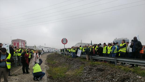 Ocho detenidos por los cortes de autovías en Jaén durante la protesta de los olivareros del 30 de enero