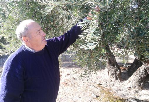 Román León con sus árboles en la provincia de Jaén