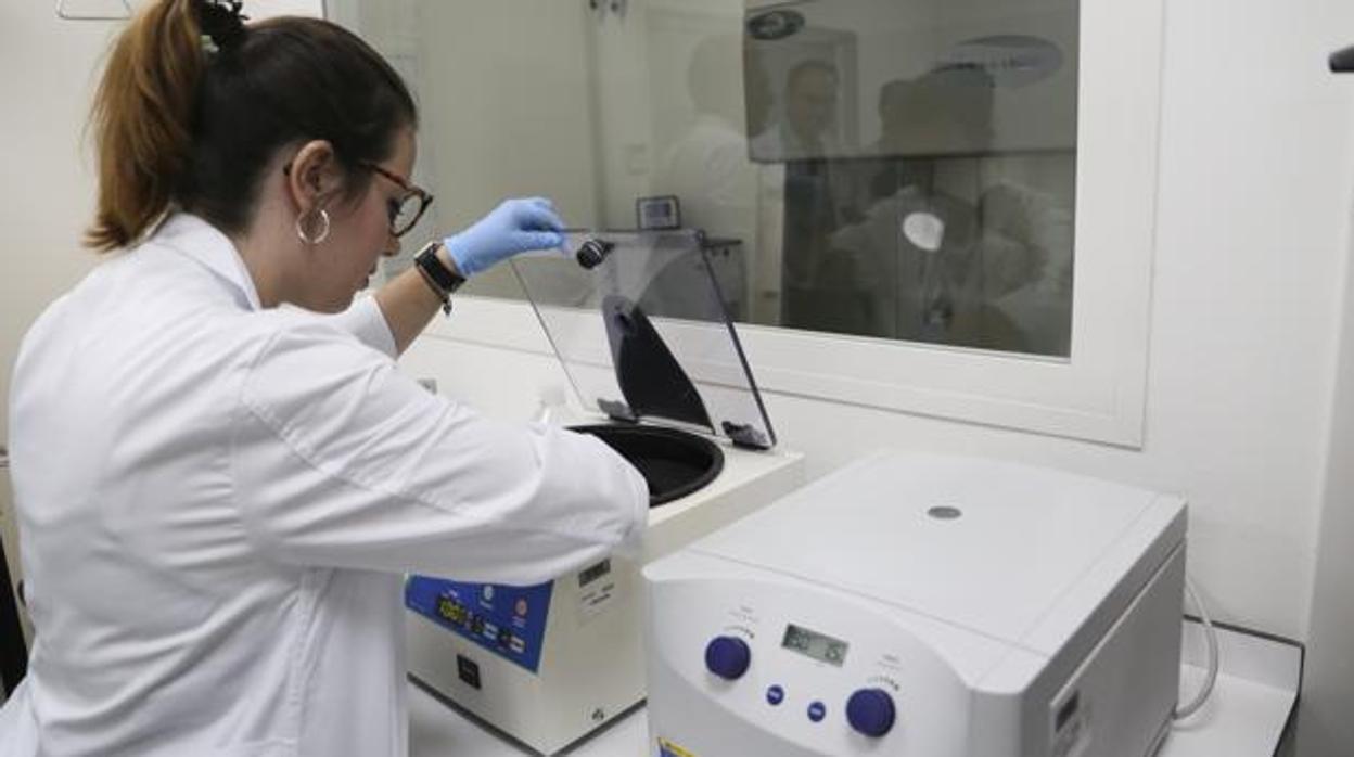 Laboratorios del Hospital Virgen de la Macarena de Sevilla