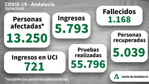 El mapa de los 13.250 casos positivos por coronavirus en Andalucía