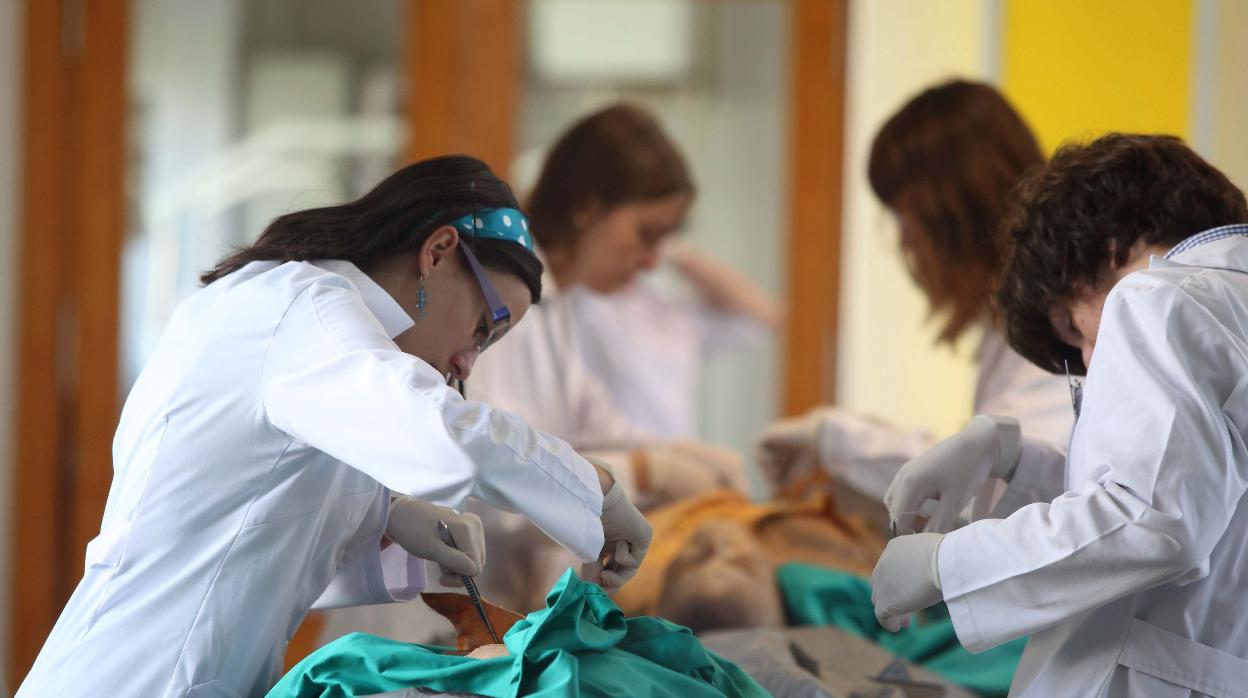 Estudiantes de prácticas de Medicina en un centro hospitalario