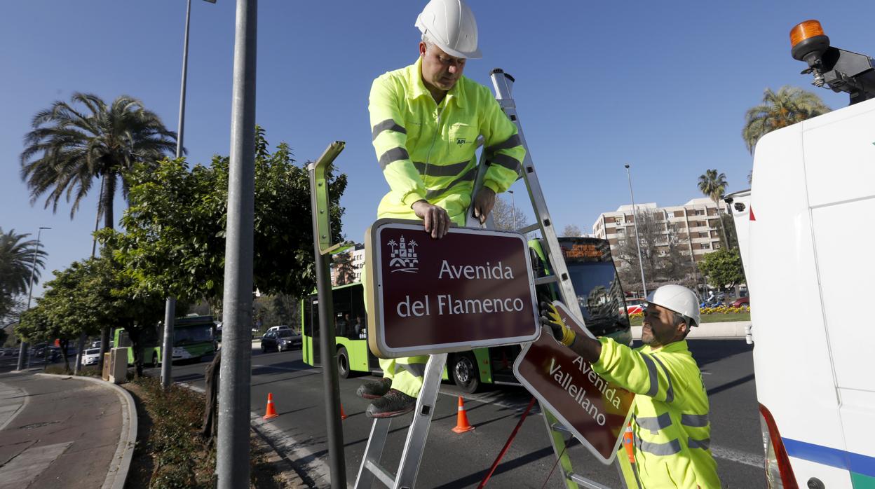 Los nuevos rótulos de la avenida de Vallellano