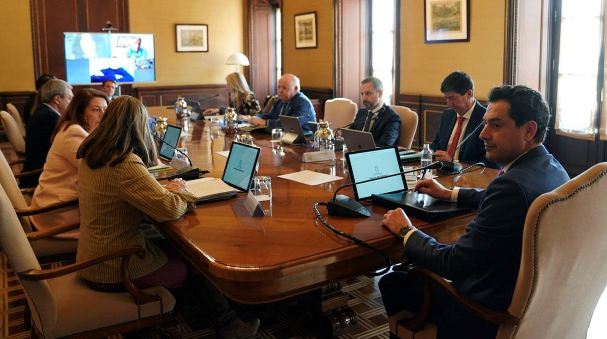 El Consejo de Gobierno reunido en San Telmo