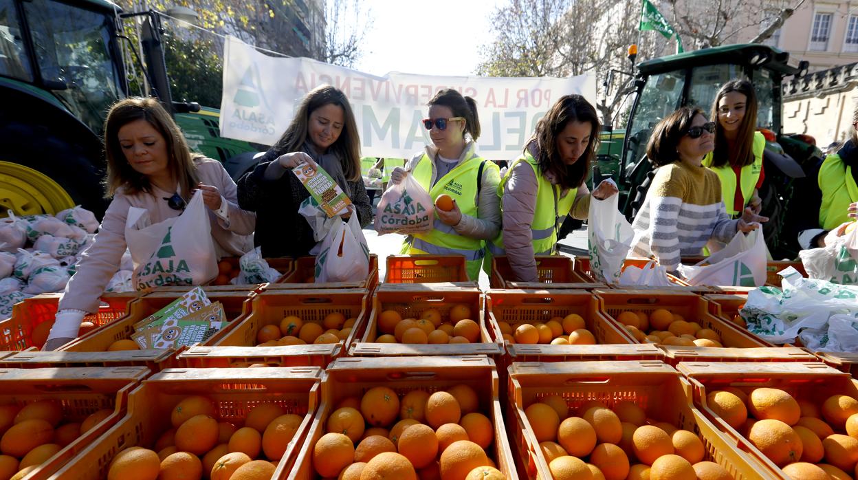 Agricultoras reparten naranjas por los bajos precios en Córdoba