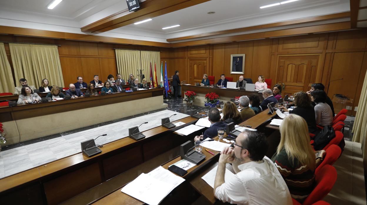 Pleno municipal de Córdoba