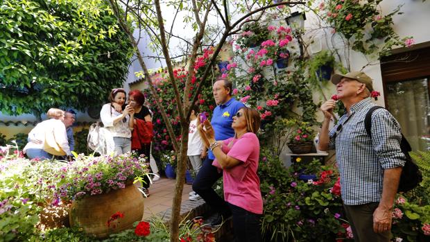 Mayo Festivo | El Ayuntamiento baraja llevar los Patios de Córdoba a octubre y la Feria a septiembre