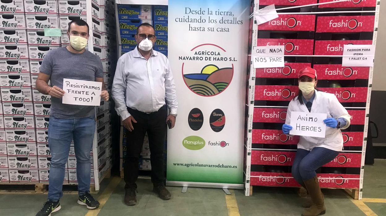 Agrícola Navarro de Haro ha colaborado con diferentes productos como sandía.