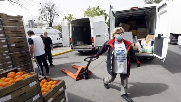 El Ayuntamiento de Córdoba quiere entregar en 10 días las ayudas por emergencia social