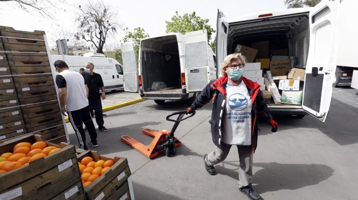 Voluntarios del Banco de Alimentos de Córdoba durante la crisis del coronavirus